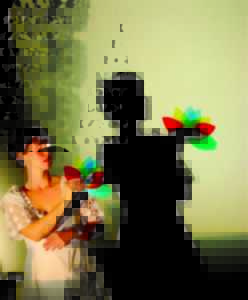photo Couleur Corbeau