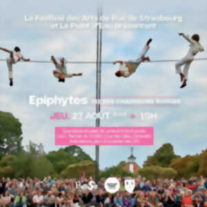 Le FARSe à Ostwald ! Spectacle de cirque en plein air