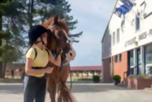 photo Halloween au Parc Equestre