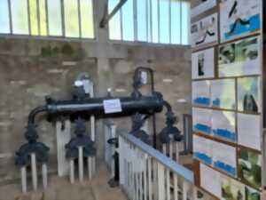 photo Visite guidée de la ligne Maginot aquatique à Hoste