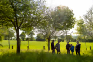 photo Visite guidée de la cidrerie Mette au Mesnil Caussois
