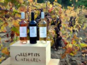DE FERME EN FERME - LES PTITS CATHARES