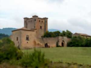photo JEP 2026 - CHÂTEAU D'ARQUES