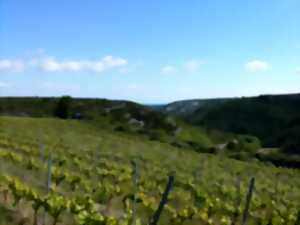 photo DE FERME EN FERME - NARBONNAIS, CORBIERES-MINERVOIS