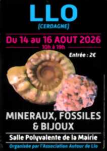 photo BOURSE AUX MINERAUX, FOSSILES & BIJOUX