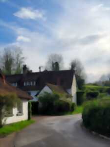 Visite Guidée : Balade et Découverte de la Madelaine