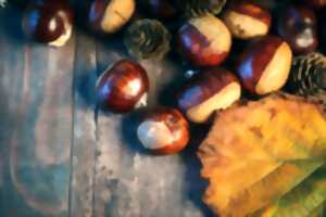 Marché d'automne