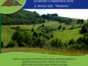 Chantier nature participatif