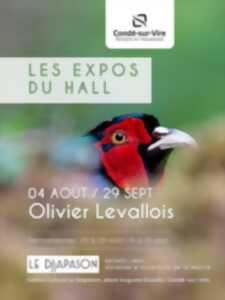 photo Les expos du Hall | Traces de présence – Olivier Levallois