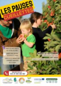 photo Pause Cueillette