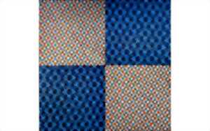 photo Exposition: DIAGONALES, Jean-Michel Courades