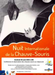 photo Conférence et observation des chauves-souris au crépuscule