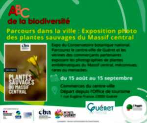 photo Les plantes sauvages du Massif Central