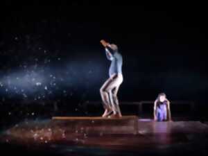 photo Théâtre - La chute infinie des soleils