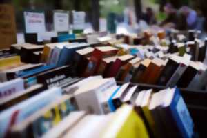 photo Journée des bouquinistes au Bugue
