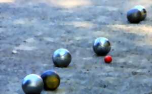 photo Concours de pétanque à Aubas