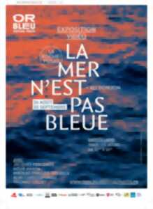 photo Exposition vidéo – La mer n’est pas bleue