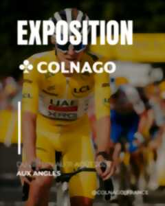 photo EXPOSITION COLNAGO AUX ANGLES : DES VÉLOS DE LÉGENDE