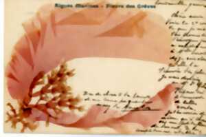 photo Atelierd'écriture autour de l'alguier de la naturaliste Maria Doublet avec Adeline Miermont Giustinati -Ile Tatihou