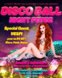 photo Soirée Disco Ball Night Fever DJ