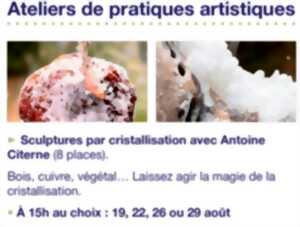 photo Atelier de pratiques artistiques  : sculptures par cristallisation