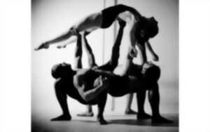 photo Espace Dantza - Stage danse contemporaine
