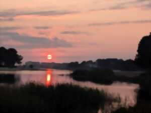 photo Balade au coucher du soleil sur la plage
