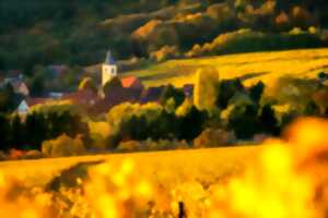 photo Vignobles en Scène Alsace : Jeu de piste dans le vignoble