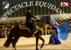 photo Spectacle Equidanse