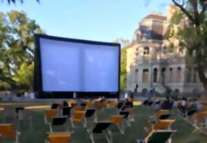 photo Ciné Plein Air : Dragons