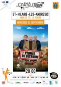 photo Du cinéma dans mon village : PERMIS DE DETRUIRE