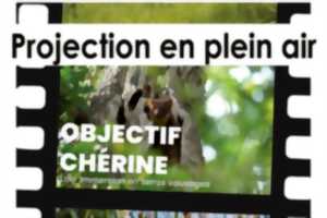photo Projection en plein air