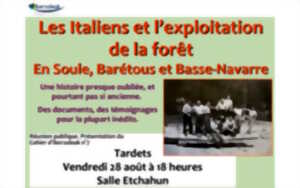 photo Réunion publique : les Italiens et l'exploitation de la forêt