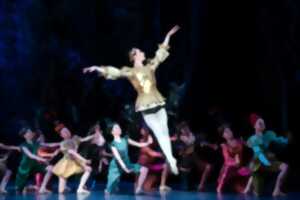 photo Diffusion Micro-Folie : Ballet 