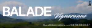 photo BALADES VIGNERONNES - MAURY