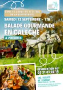 photo Balade en calèche dans le cadre du Festival de la biodiversité - Samedi 12 septembre à 17h