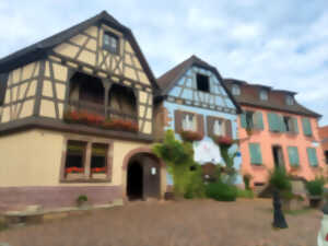 photo Découverte du métier de vigneron