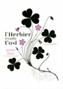 photo L'Herbier d'Emilie Vast