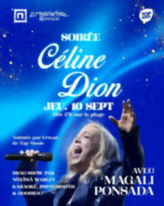 photo Soirée Céline Dion