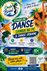 Stage de danse brésilienne