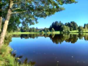 Semaine découverte pêche à la carpe