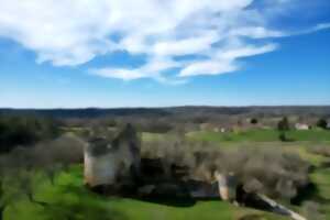 Journées européennes du patrimoine : château de la Renaudie