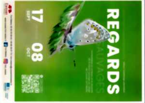 Exposition Regards sauvages