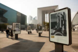 Exposition Survies