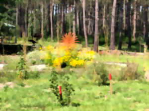 QI Gong