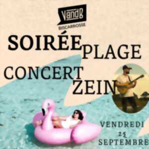 photo Concert Zein et soirée plage