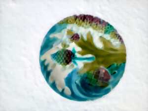 Micropholie - Atelier 