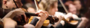 Violons de Prague