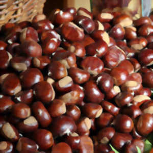 Foire aux marrons