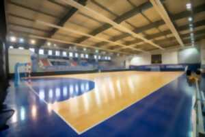 Match Limoges Handball / Nîmes